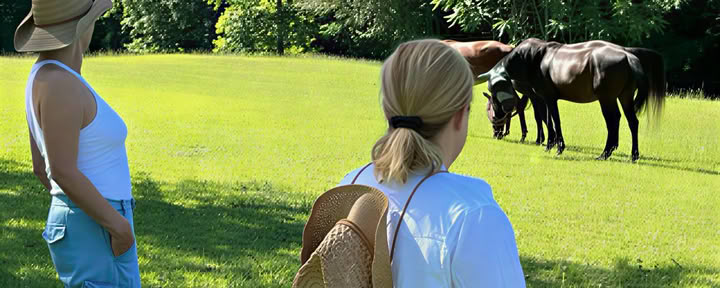 Horse Harmony: Un ritiro di 3 giorni per l’equilibrio e il benessere delle donne
