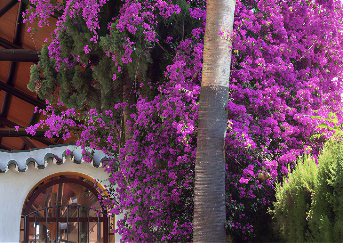 Yoga vacanze con Tanja e Joey – The Yoga Place
