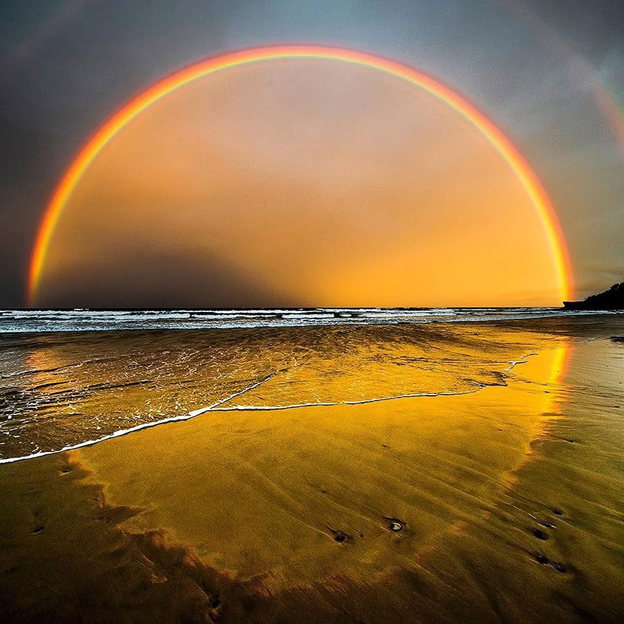 Lettura dell'Anima per la Guida alla Vita