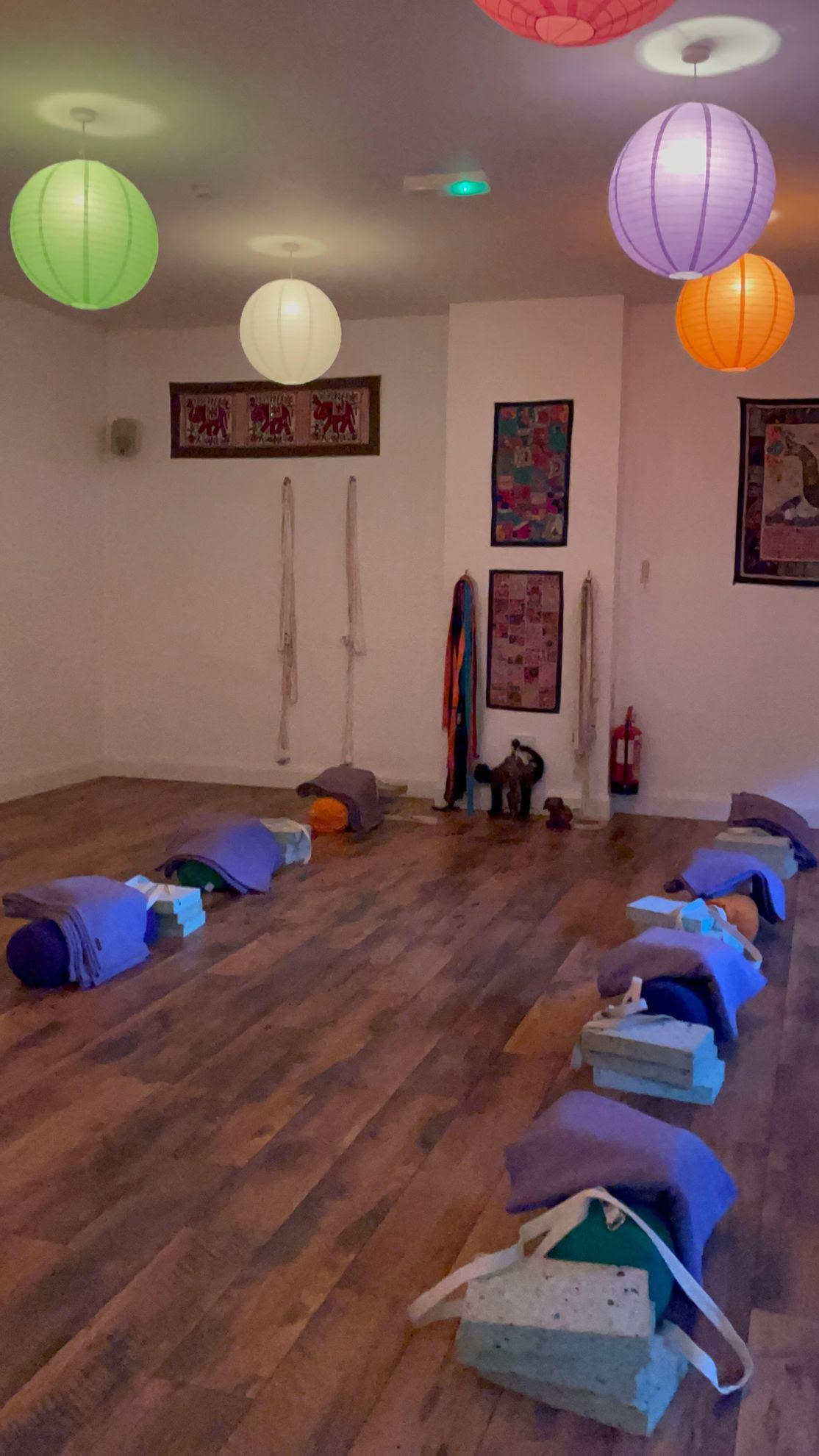 Iyengar Yoga Livello 1/2