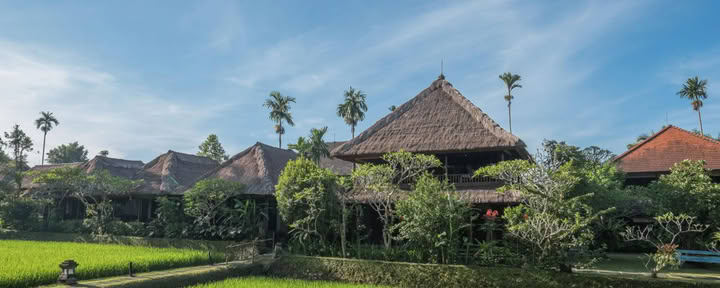 Bliss Out a Bali