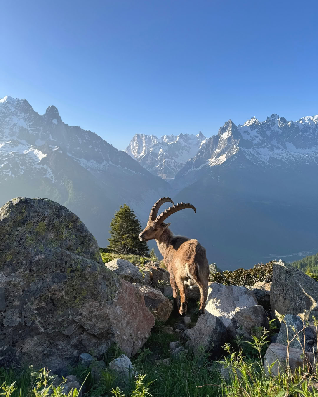 Respira e Connettiti a Chamonix