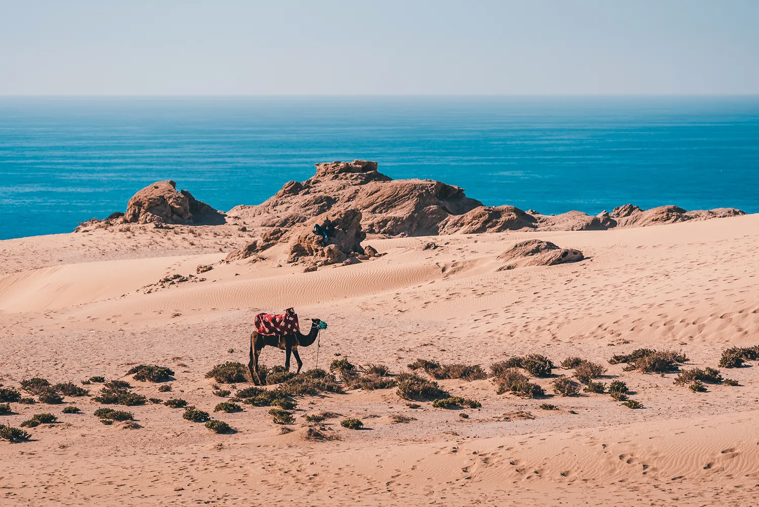 7 giorni di ritiro di yoga, meditazione e surf in Marocco