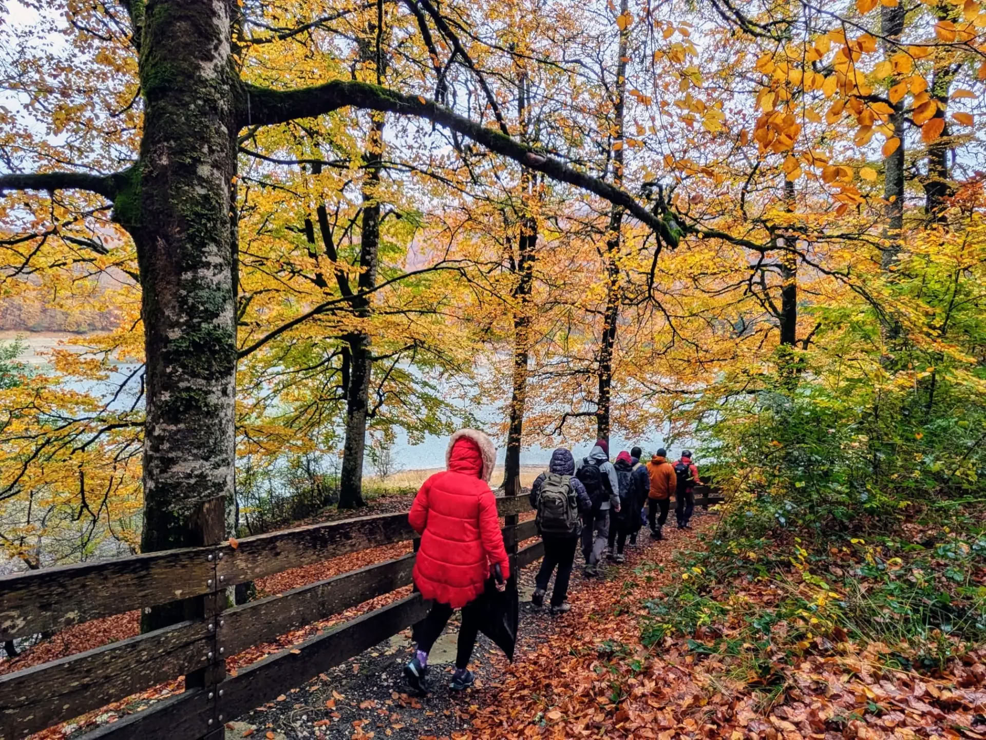 Santuario di Yoga e Meditazione: un ritiro avvolgente nella foresta di Irati