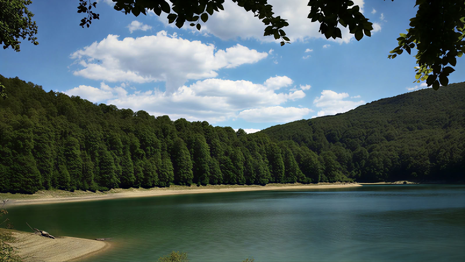 Ritiro di Yoga e Natura: Immersione nella Foresta Dorata