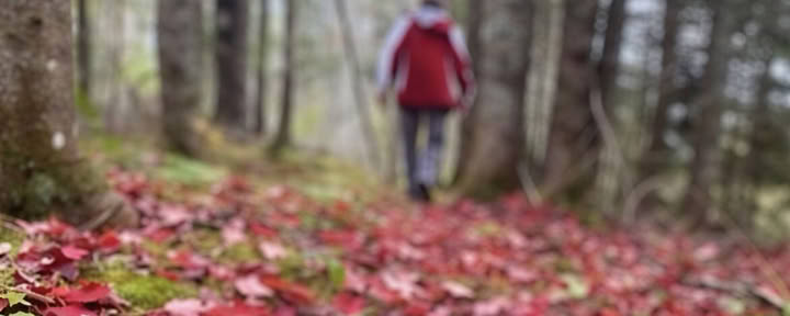 Riforma il tuo focus