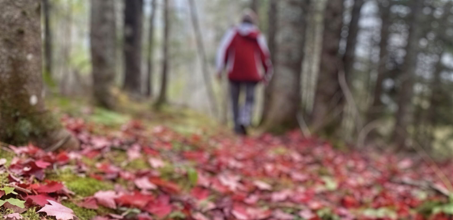 Riforma il tuo focus: un ritiro di fotografia consapevole