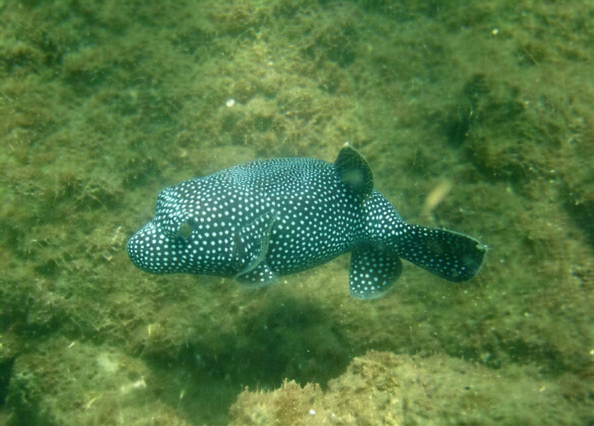 Ritiro avventura nello spazio della natura - Costa Rica