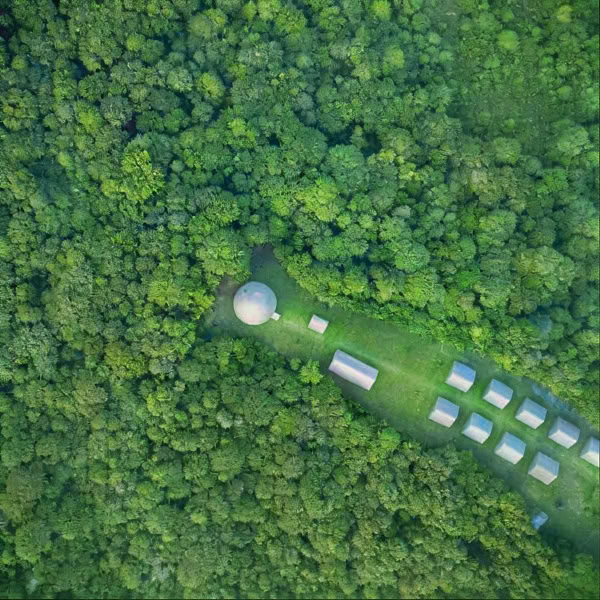Immersione nell’Ayahuasca