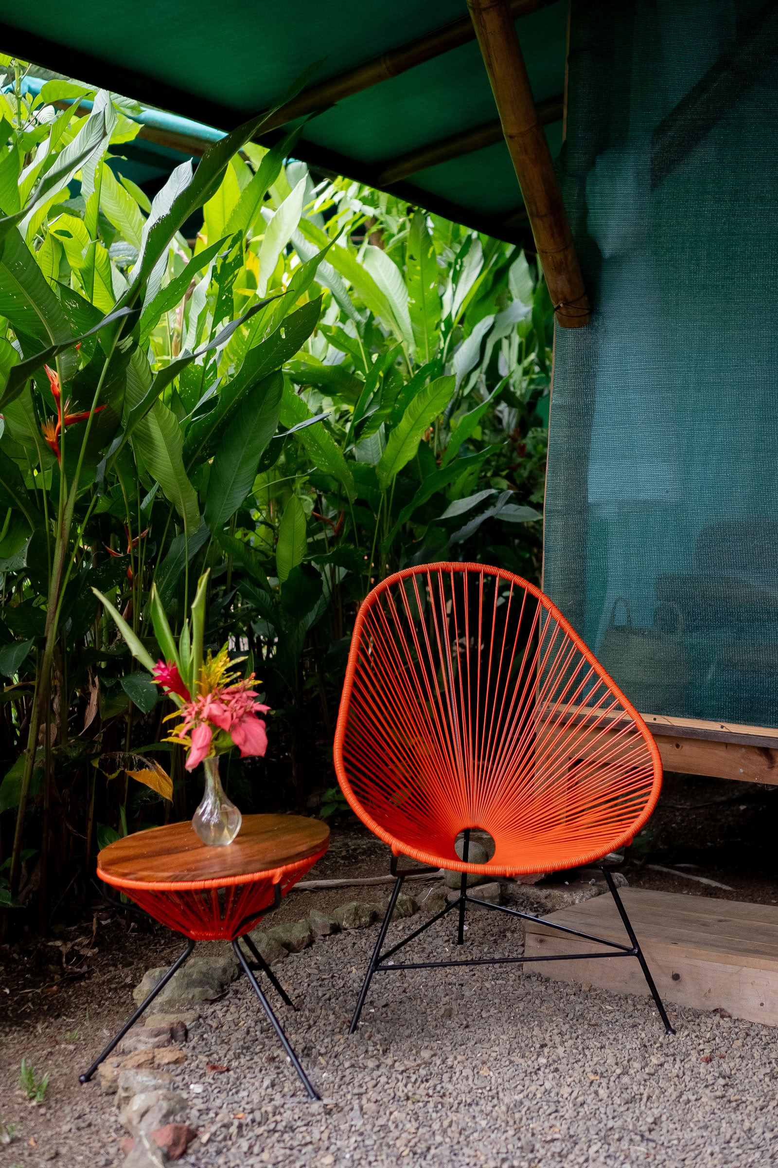 Workshop di Ayahuasca