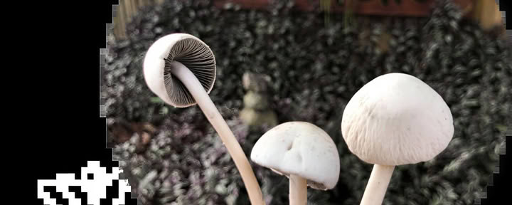 Massaggio Termale e Allineamento della Colonna Vertebrale