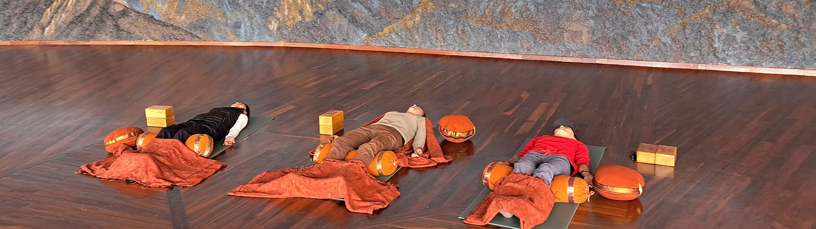 Programma Yoga per la Vita