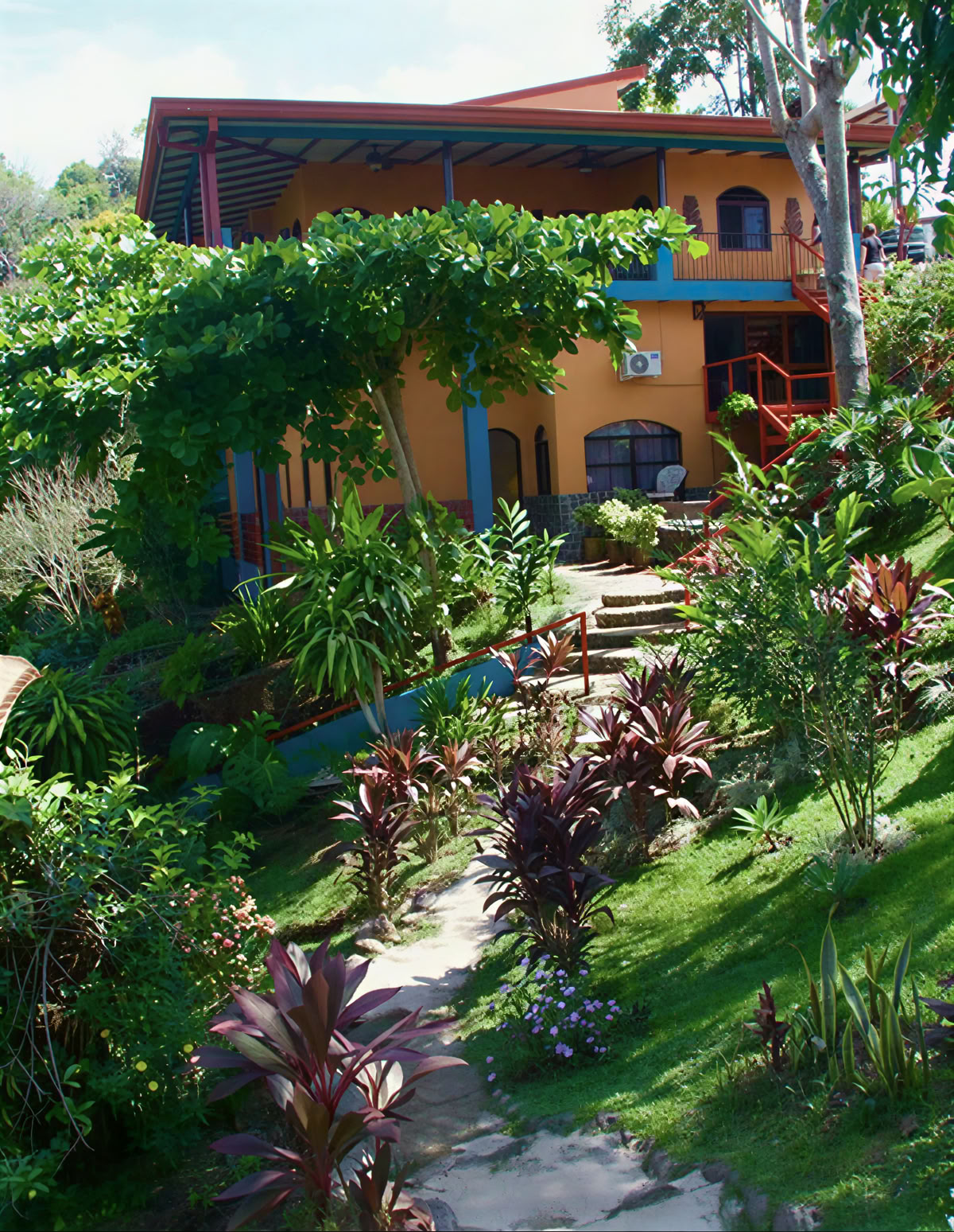 Ritiro Spirituale di Ayahuasca in Costa Rica