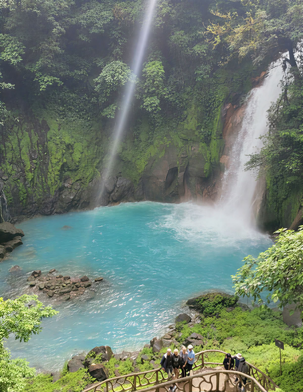 Ritiro Spirituale di Ayahuasca in Costa Rica