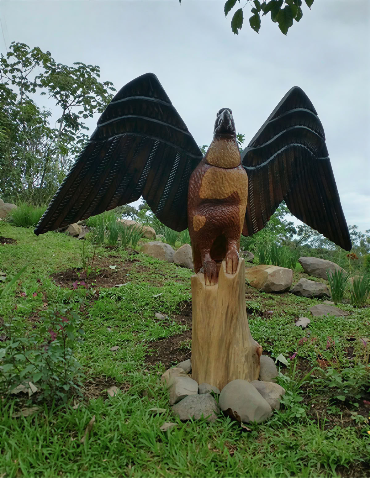 Ritiro Spirituale di Ayahuasca in Costa Rica