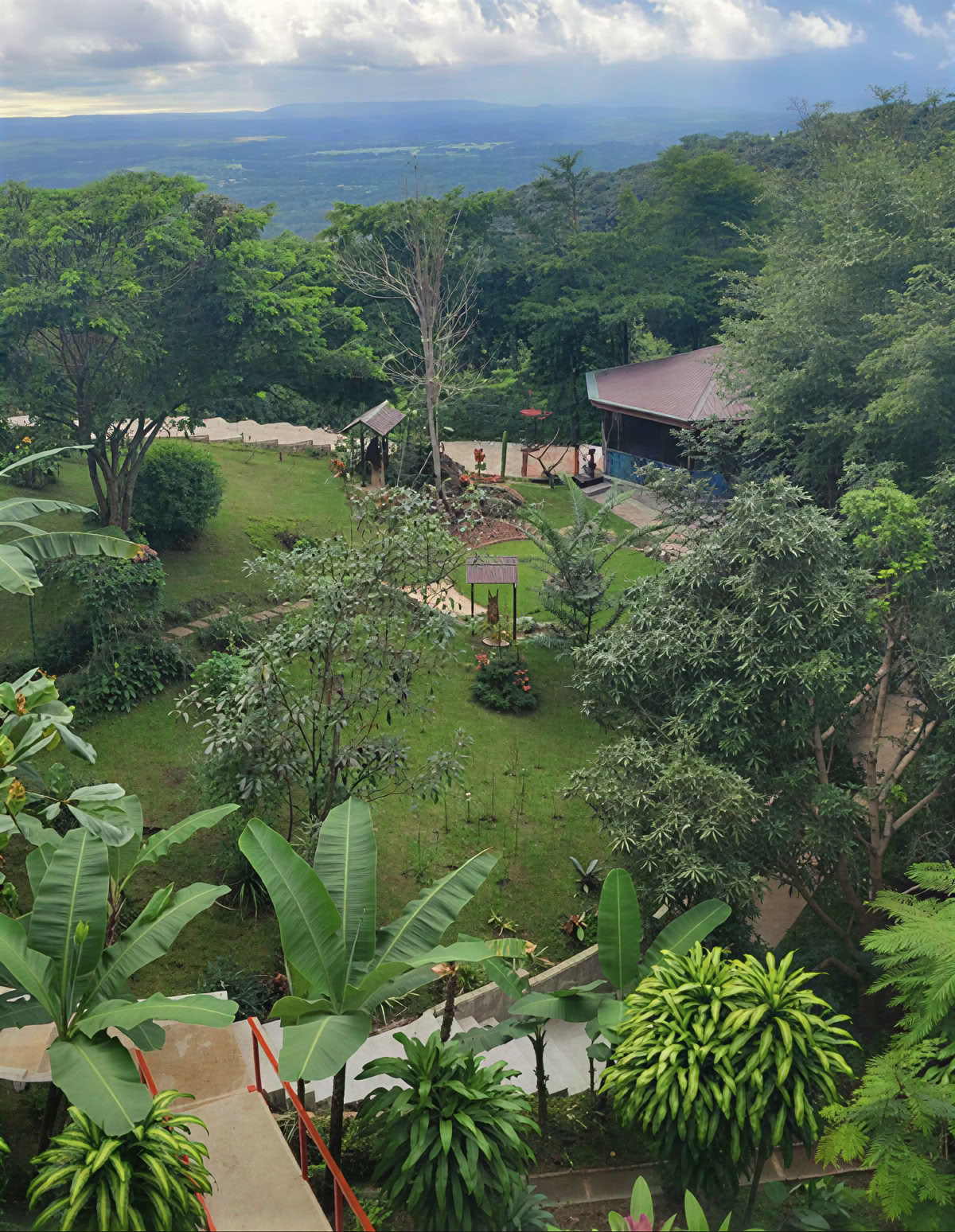 Ritiro Spirituale di Ayahuasca in Costa Rica