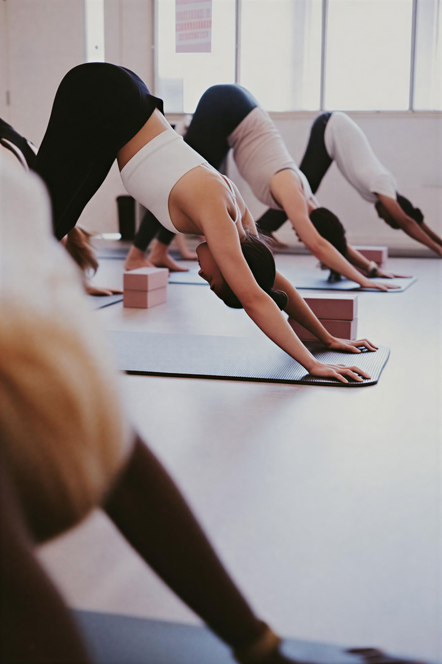 Yoga Fusion