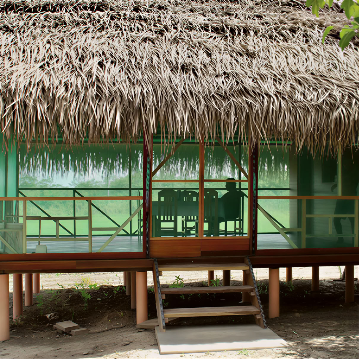 2 settimane di ritiro di ayahuasca in Perù