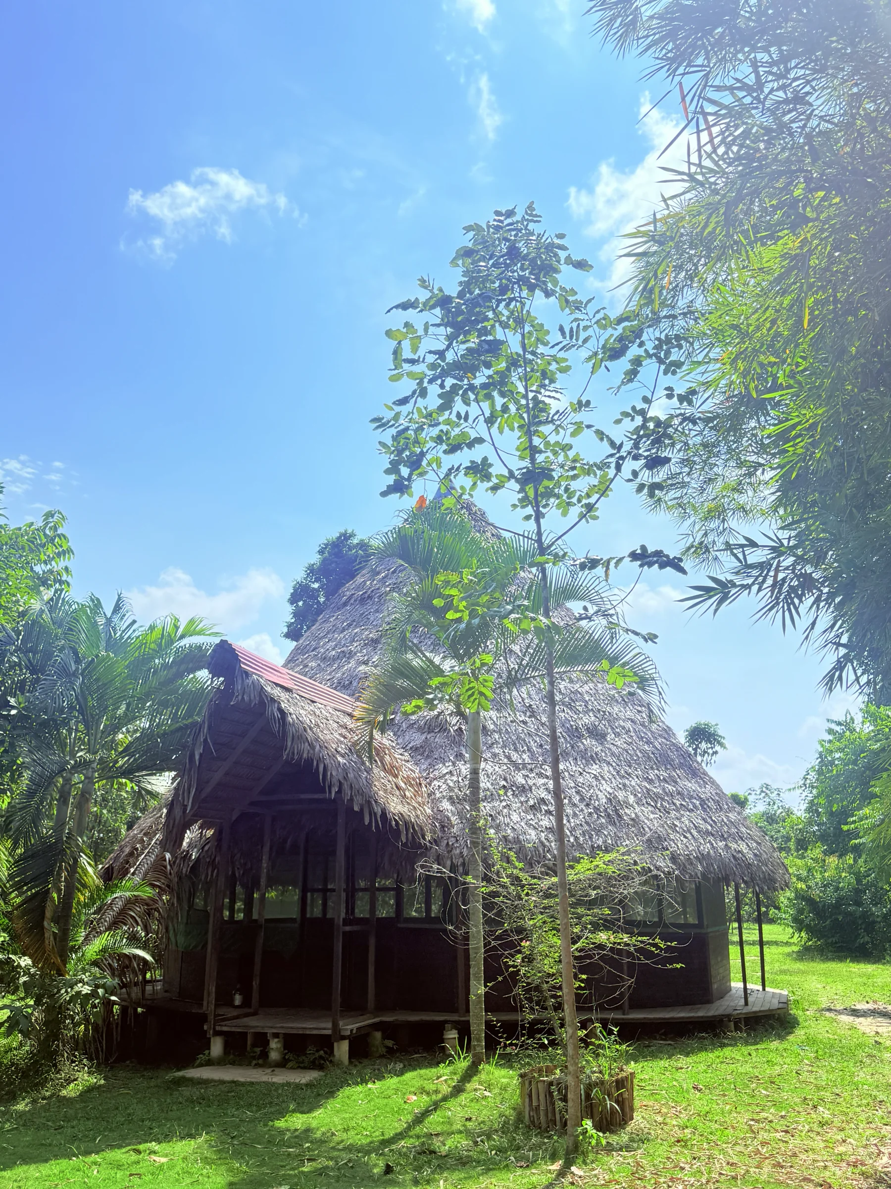 2 settimane di ritiro di ayahuasca in Perù