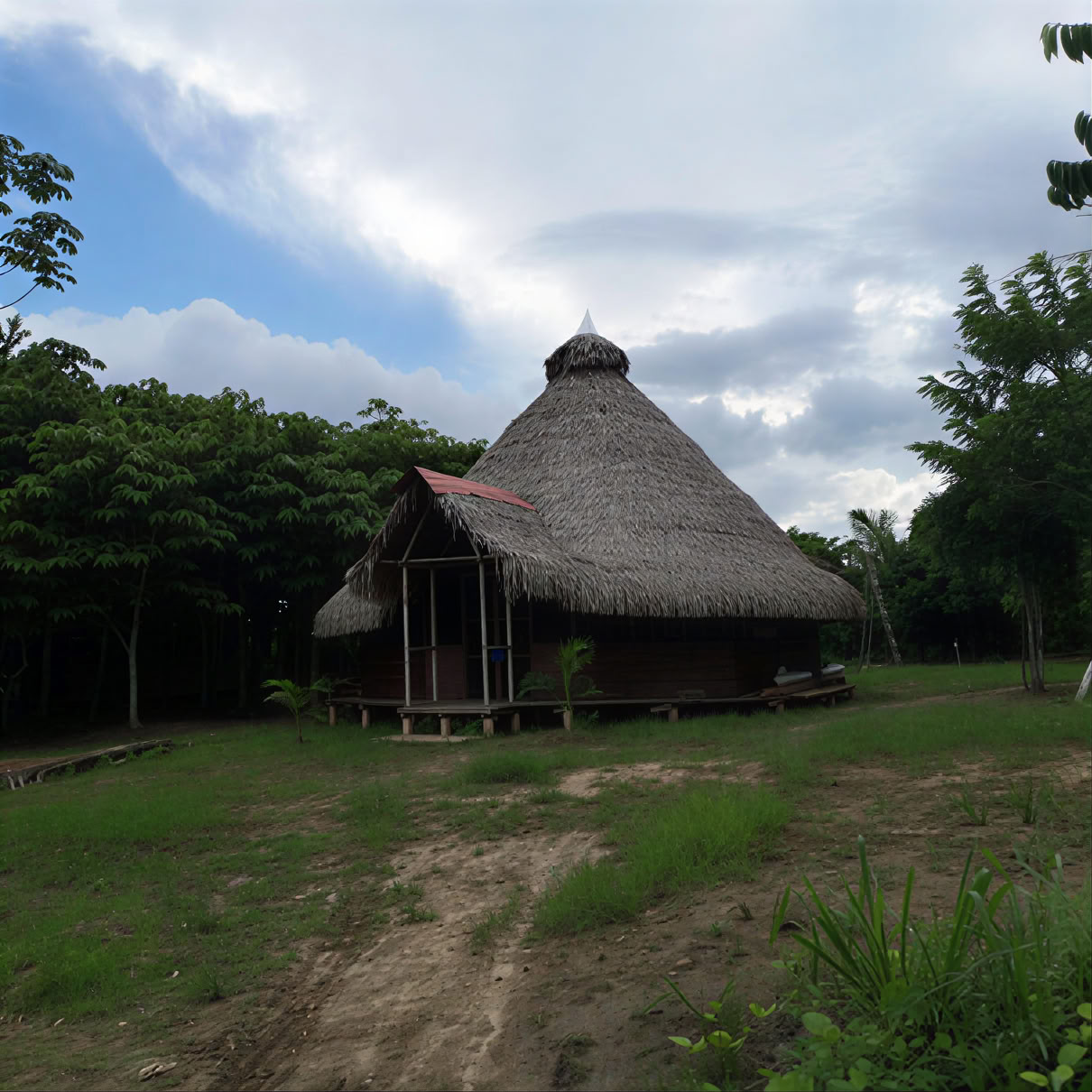 3 settimane di ritiro di ayahuasca in Perù