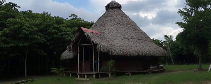 3 settimane di ritiro di ayahuasca in Perù