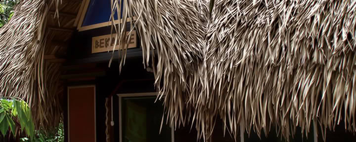 Trasformazione di 3 settimane con ayahuasca