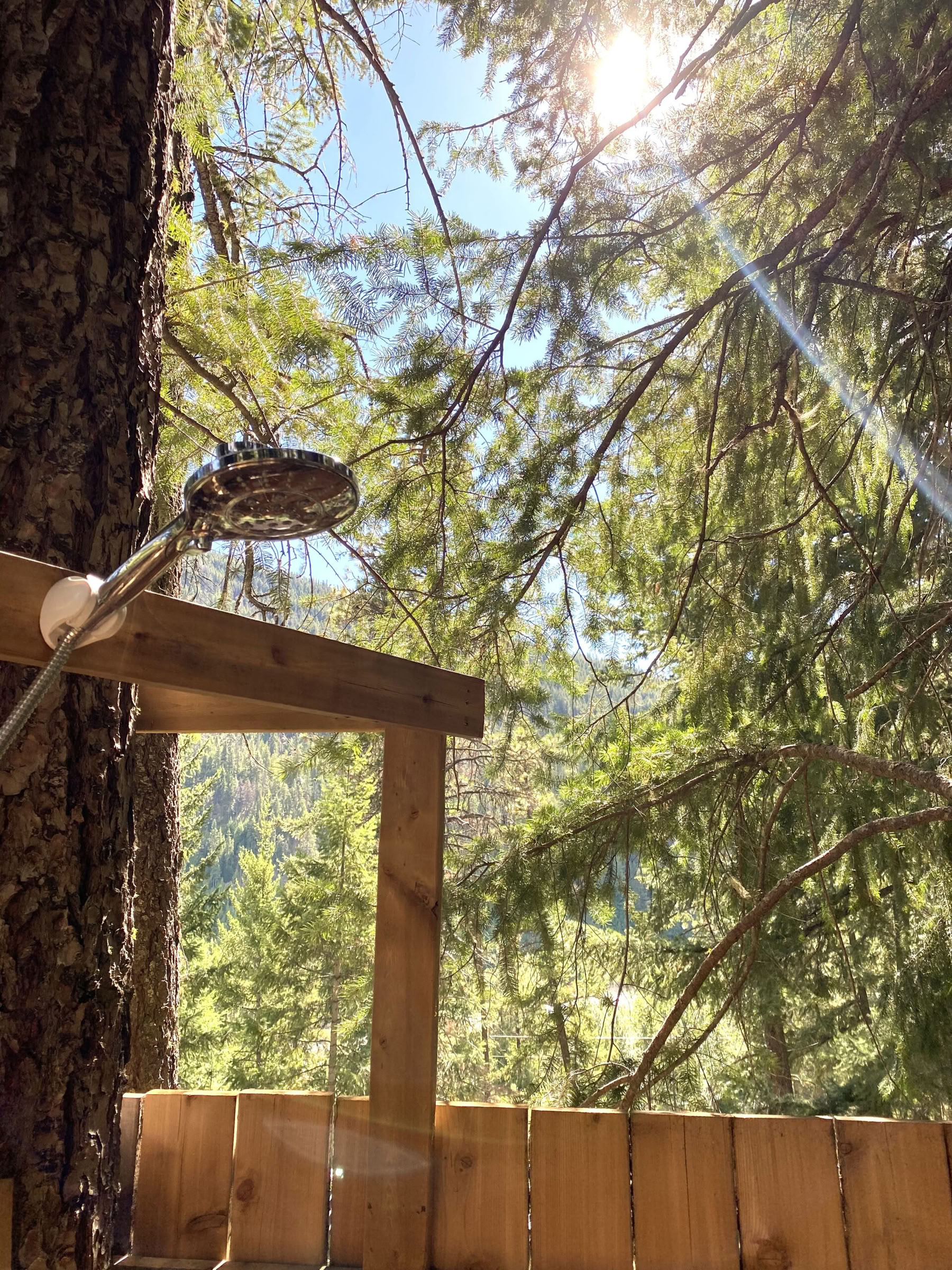 Viaggio di pellegrinaggio del cuore selvaggio