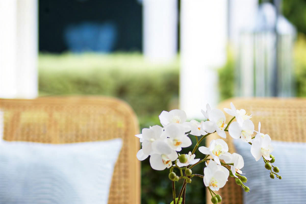 Programma di mindfulness