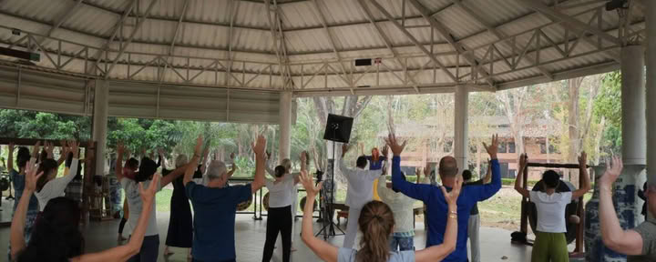 Serie di Qigong di Alchimia Interiore Tao Garden 2026