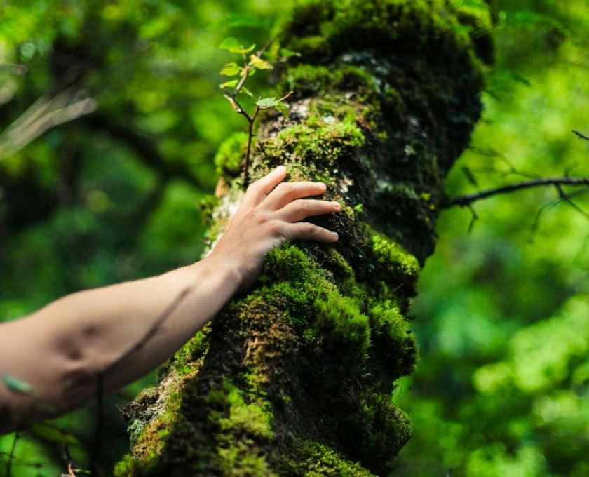 La Terra è Medicina