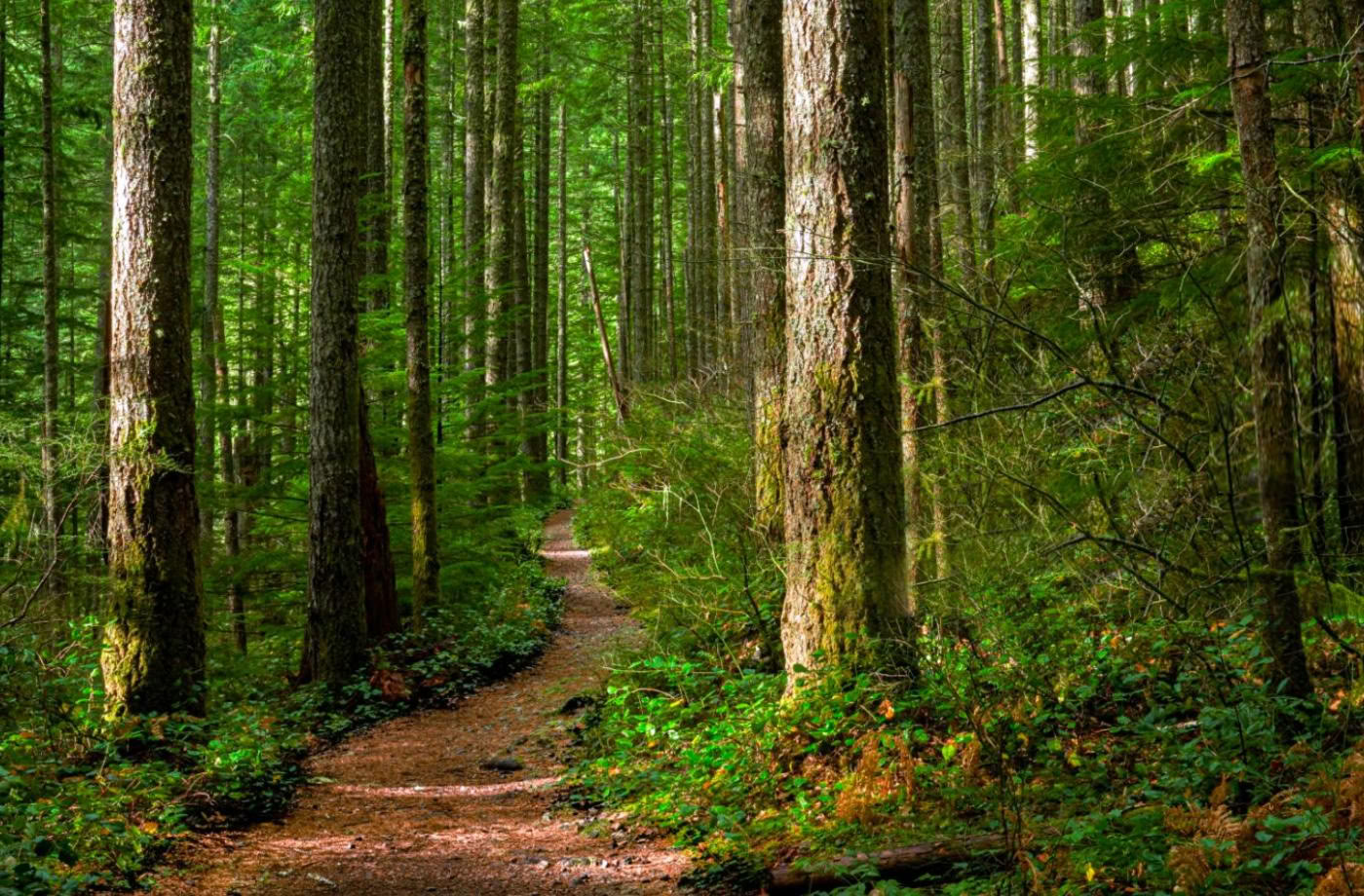 Certificazione di guida outdoor consapevole, livello 2: in armonia con la natura