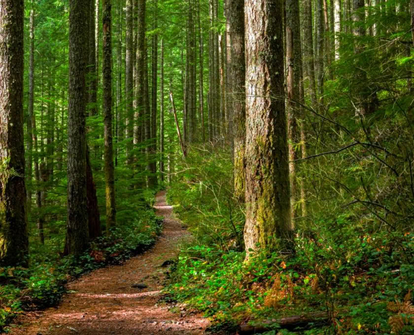 Certificazione di guida outdoor consapevole, livello 2: in armonia con la natura