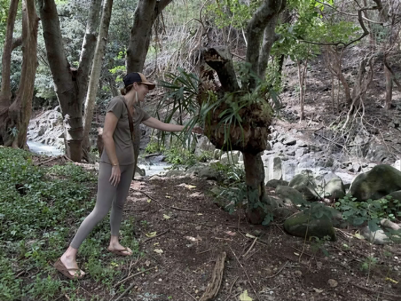 Tour del vivaio del giardino sacro