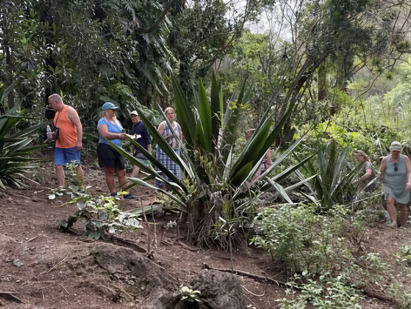 Tour del vivaio del giardino sacro