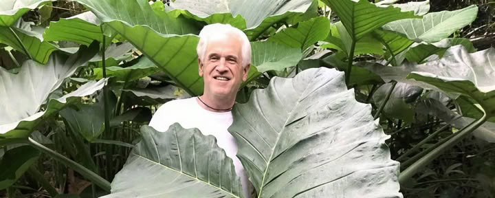 Tour del vivaio del giardino sacro