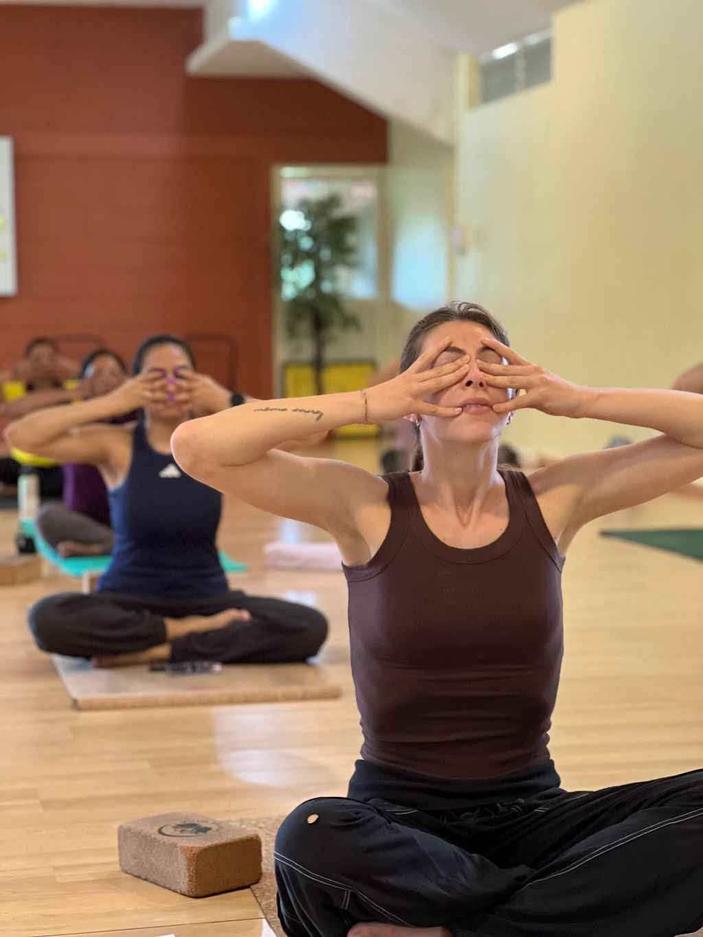 Formazione residenziale di 100 ore per insegnanti di Pranayama