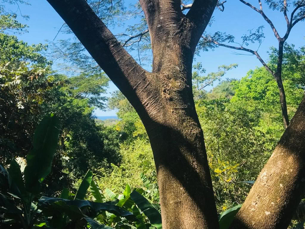 Rilassati, Resetta e Ripristina in Costa Rica