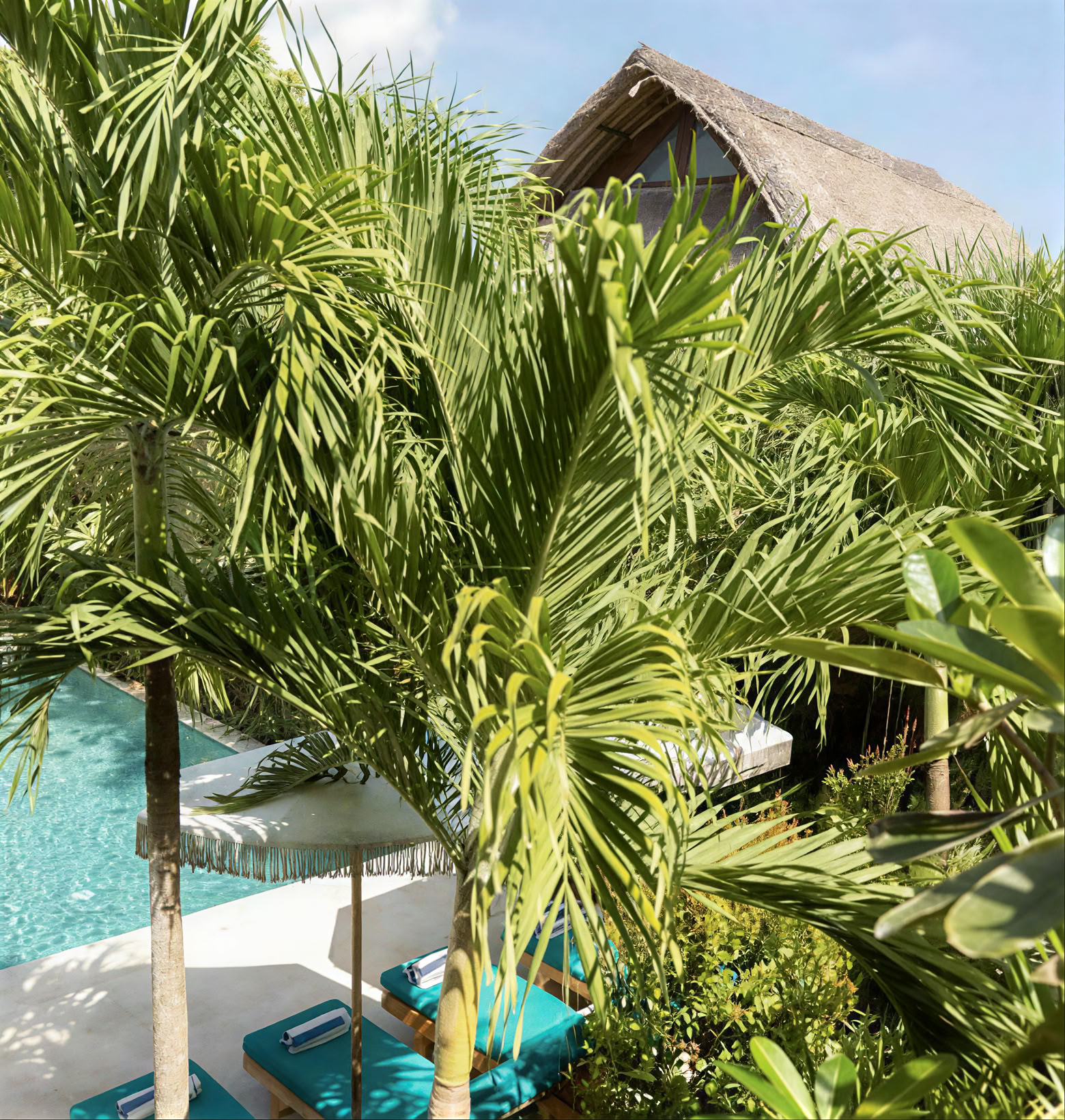 Corso di 300 ore Livello 2 Bali
