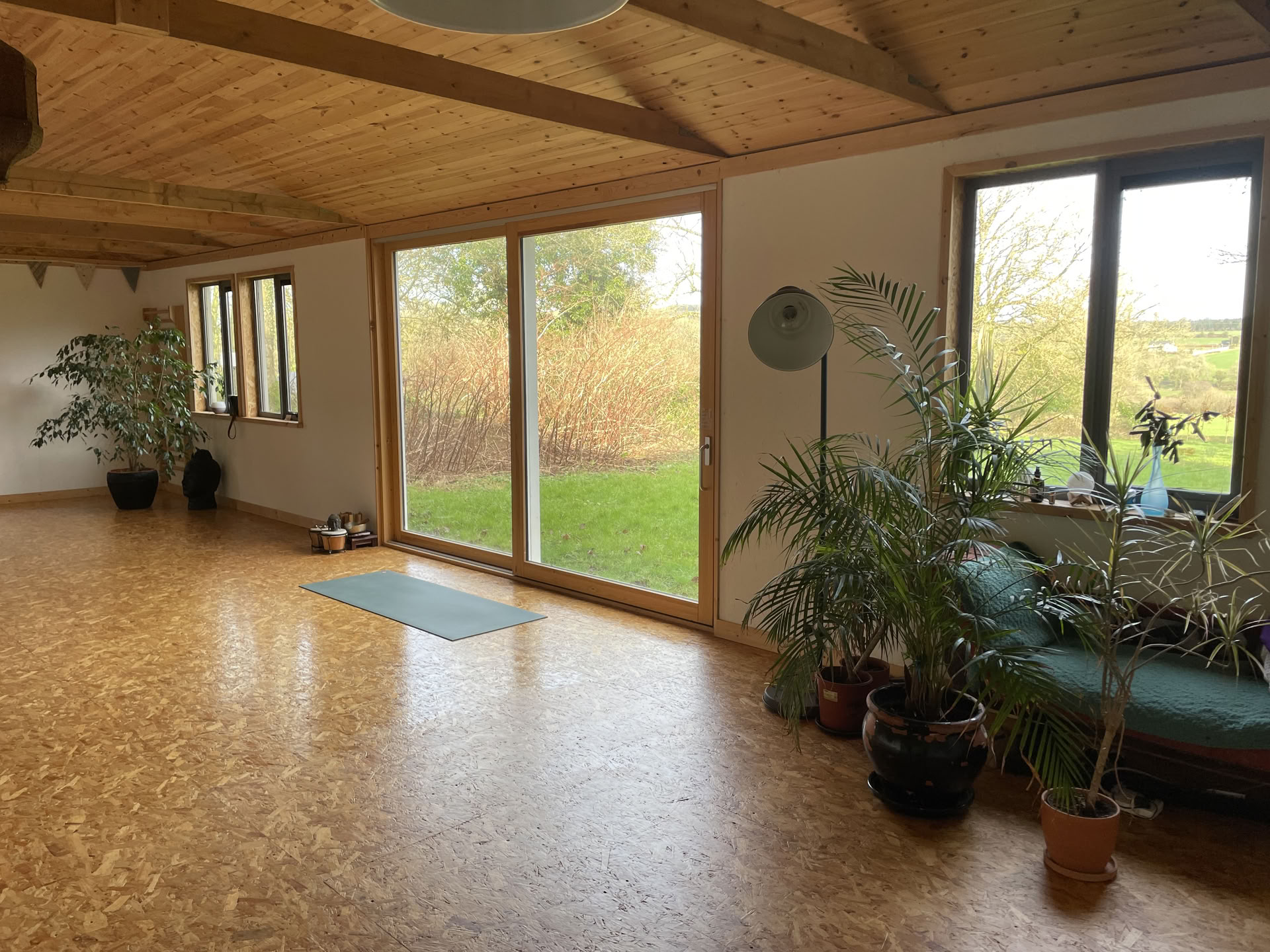 Ashtanga guidata