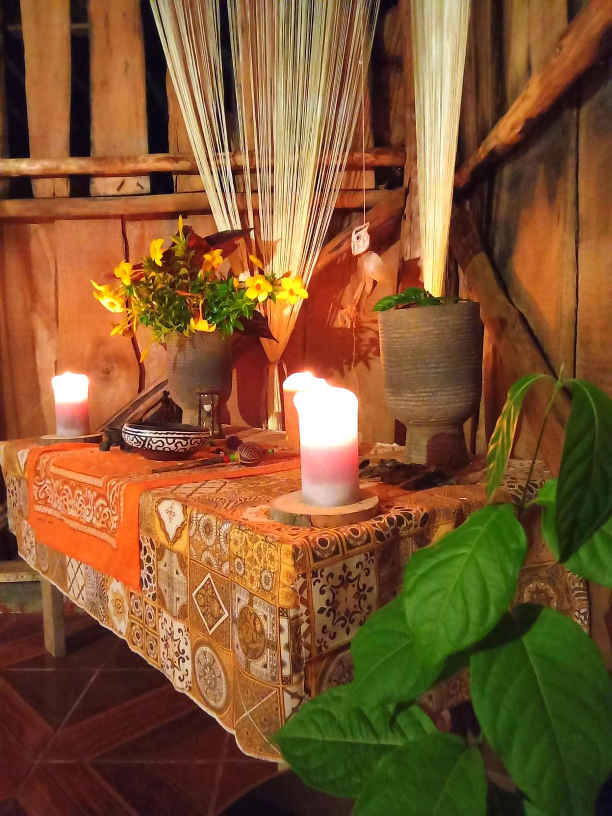 Ritiro privato di psilocibina in Costa Rica