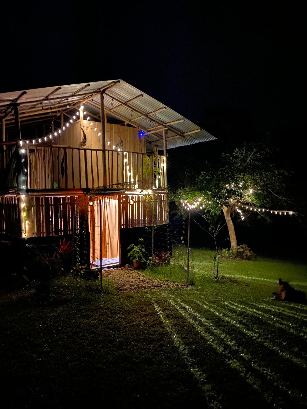 Ritiro privato di psilocibina in Costa Rica