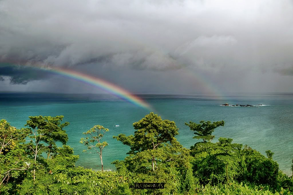 3–13 luglio 2026 | Penisola di Osa, Costa Rica