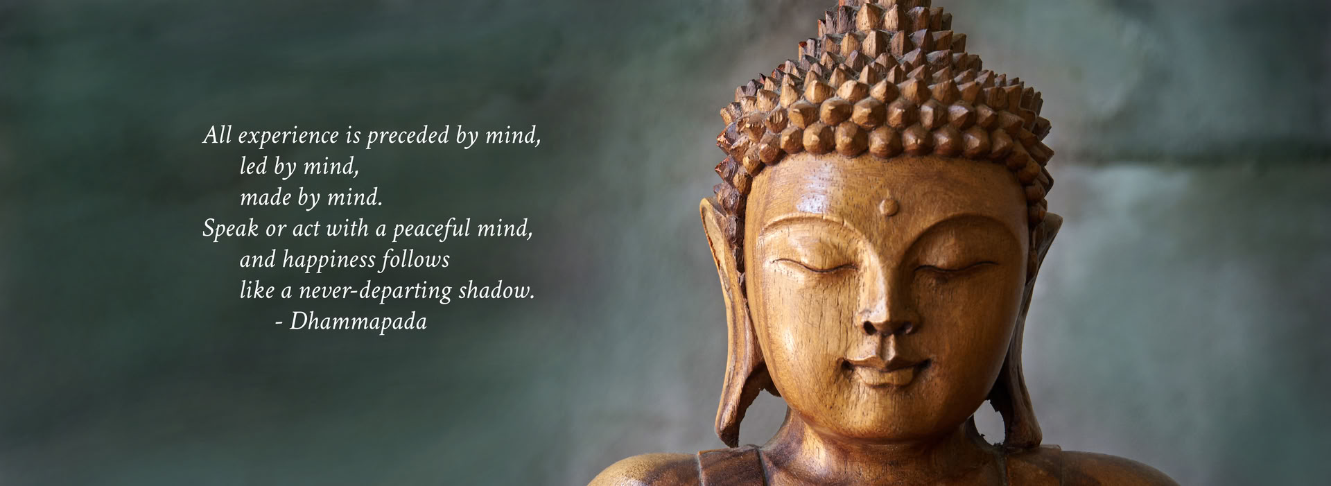 Yoga e meditazione con Terry Lesser