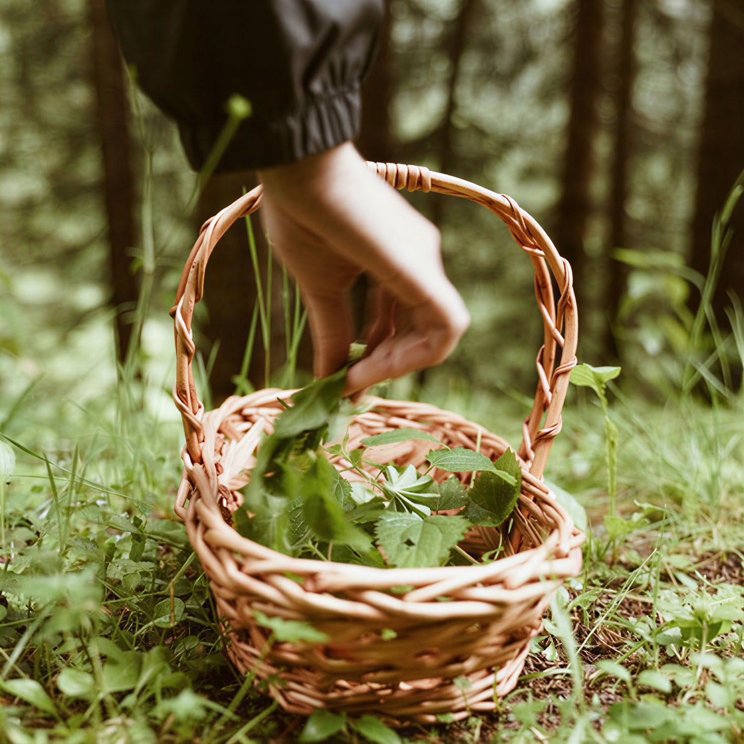 Giorni di detox e dieta che mima il digiuno (FMD)