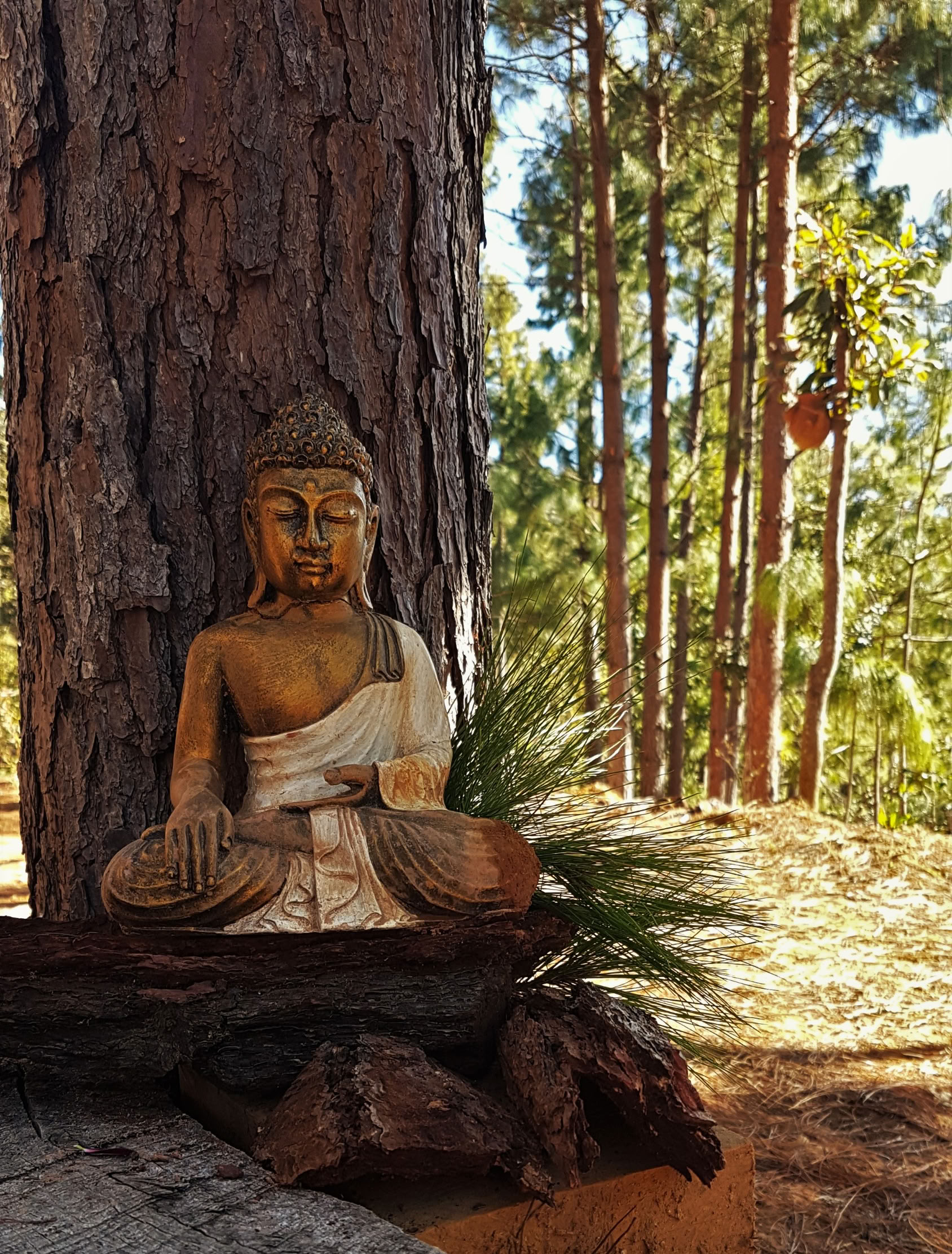 Ritiro di meditazione silenziosa Hridaya di 10 giorni