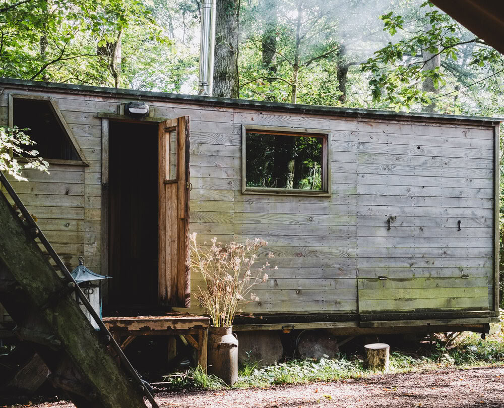 Sauna nel bosco