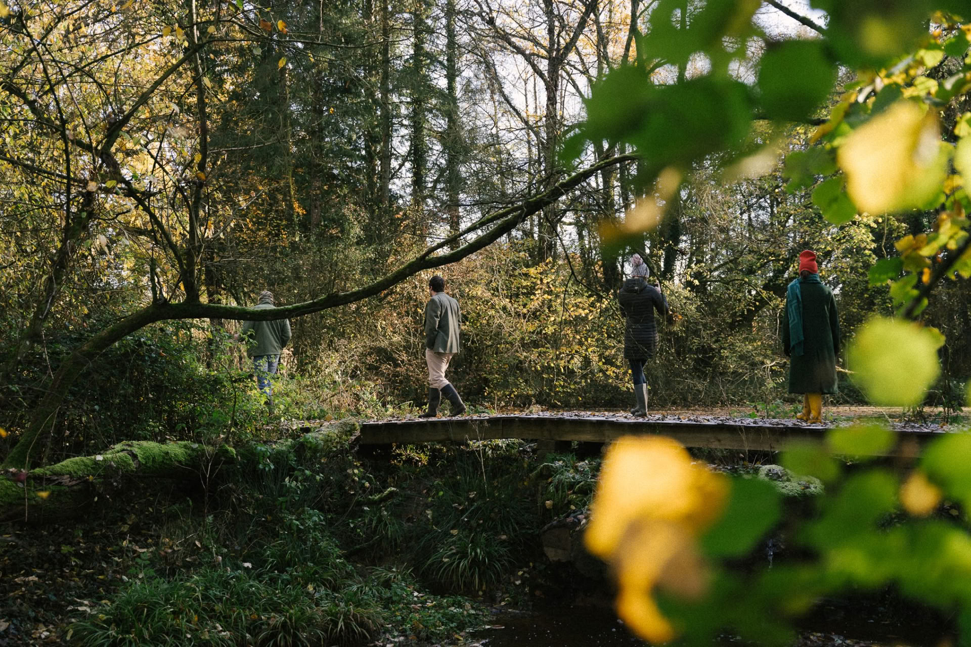 Caccia al tesoro nel bosco