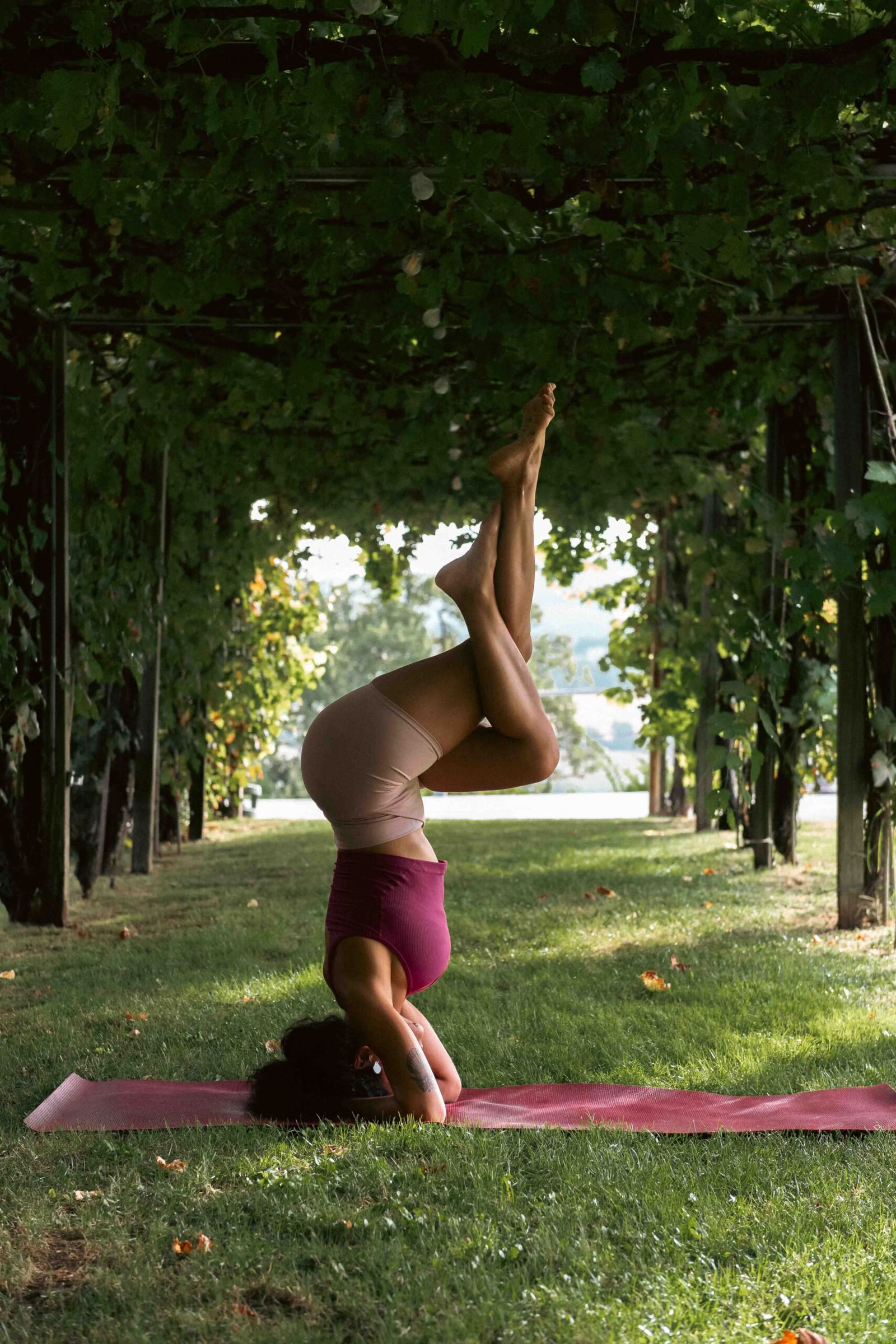 Yoga Vinyasa in presenza