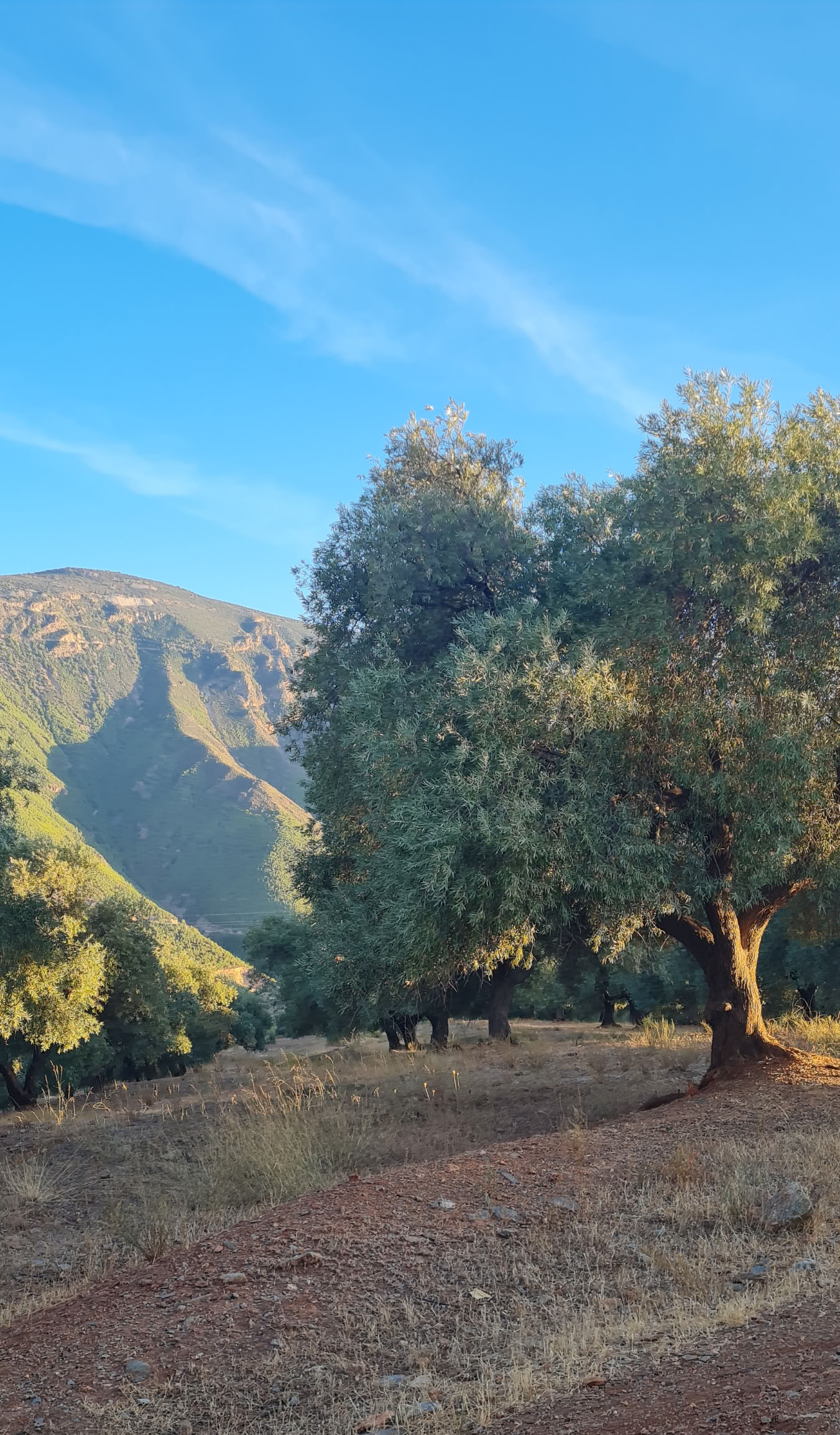 Ritiro di yoga in Spagna