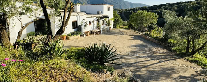 Ritiro di yoga in Spagna